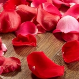 Šta se može uraditi sa laticama ruže